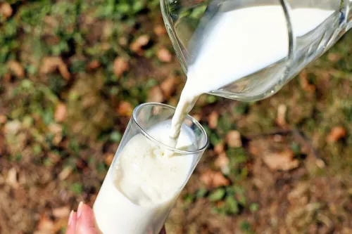 «Агроэкспорт»: За период 2016-2021 гг. производство молока в Липецкой области выросло на 18% 